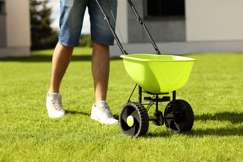 8 Best Lawn Fertilizers for Spring in 2024